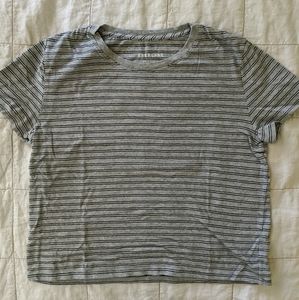 Everlane Cropped TShirt